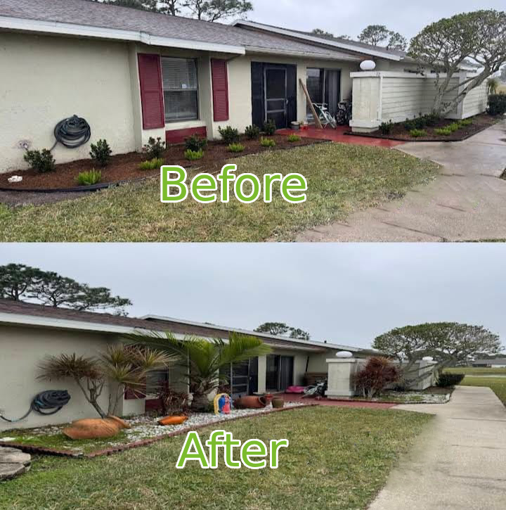 Before & After lawn transformation 2
